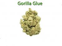 Gorilla Glue - UK ONLY