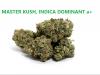 Master Kush A+ - UK ONLY