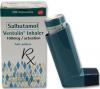 Albuterol/Salbutamol 100mcg Inhaler