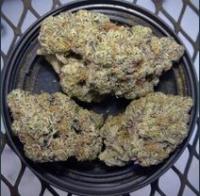 Stardawg - UK ONLY